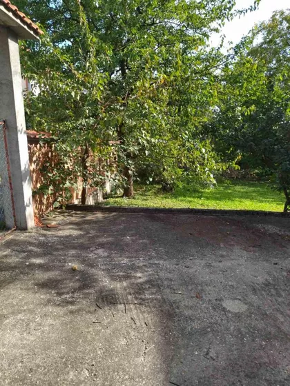 Nemanjina | 4zida.rs