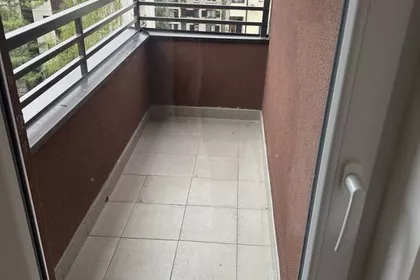 Dva Bela Goluba | 4zida.rs