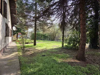 Palić | 4zida.rs