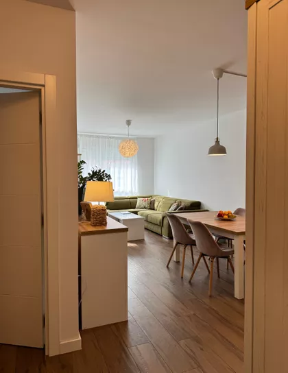 Lajoša Joa 52 | 4zida.rs