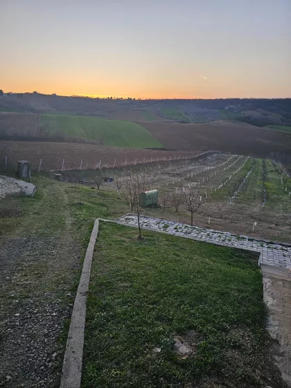 Kralja Petra I | 4zida.rs