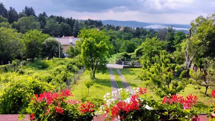 Obilićev venac | 4zida.rs