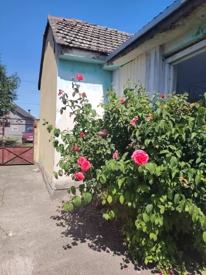 Gradske lokacije | 4zida.rs
