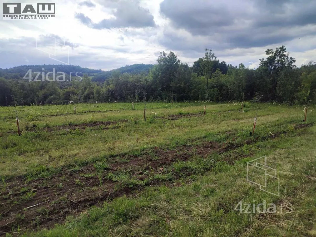 Plac | 4zida