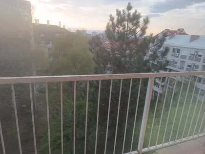 Starca Vujadina | 4zida.rs