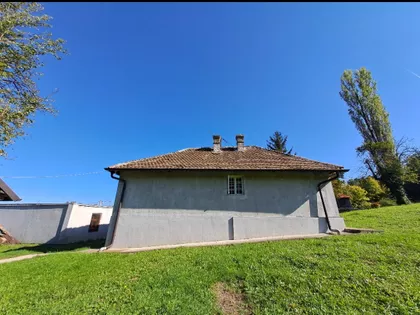 Pavla Radomana | 4zida.rs