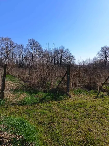 Skrađani | 4zida.rs