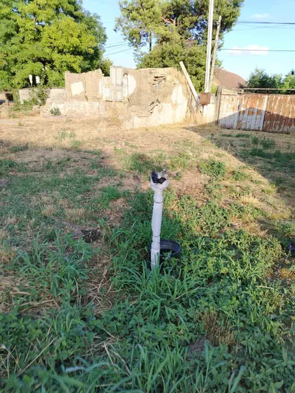 Bajša | 4zida.rs