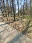 Plac | 4zida