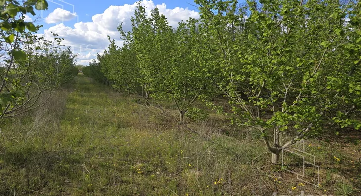 Poljoprivredno zemljište | 4zida