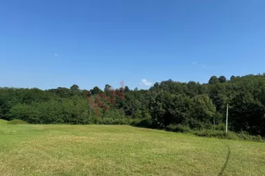 Jelovik