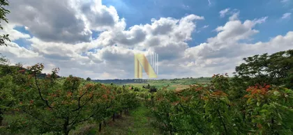 Gradske lokacije | 4zida.rs