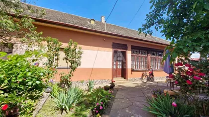 Bački Brestovac | 4zida.rs