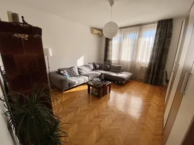 Svetomira Nikolajevića