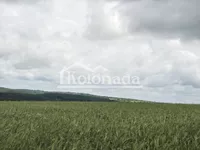 Poljoprivredno zemljište | 4zida