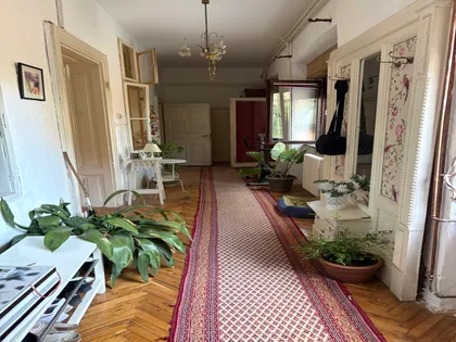 Zmaj Jovina | 4zida.rs