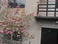 Draževac, Obrenovac opština, Beograd | 4zida.rs