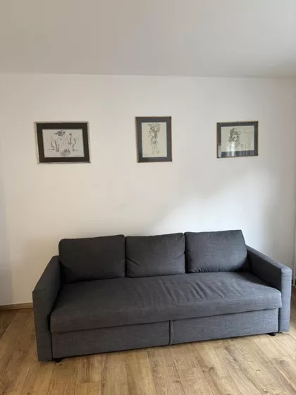 Novi Sad - Centar | 4zida.rs