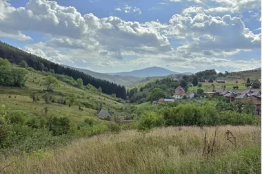 Živorada Žike Stojkovića