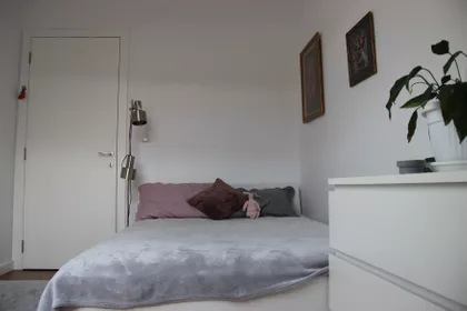Ćirpanova | 4zida.rs