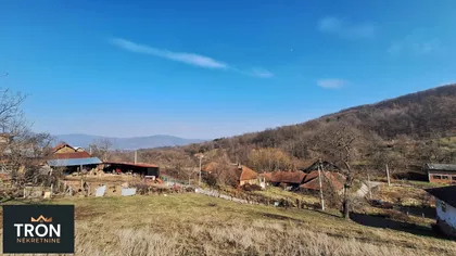 Nemanjina | 4zida.rs