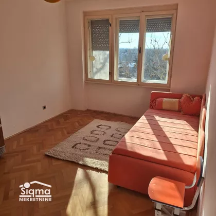 Ruža Šulman | 4zida.rs