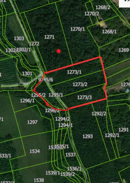 Igumanije Ekatarine | 4zida.rs