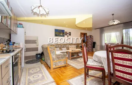 Petra Drapšina | 4zida.rs