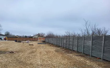 Nadežde Petrović | 4zida.rs