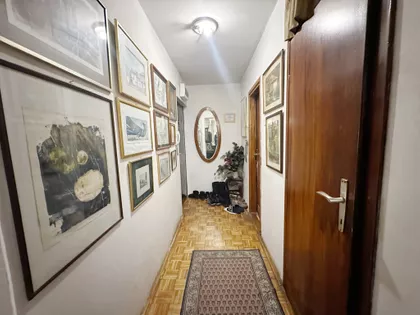 Bulevar Despota Stefana | 4zida.rs