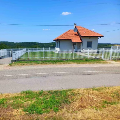 Pambukovica | 4zida.rs