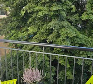 Vračar, Beograd, 2.5 stan | 4zida.rs