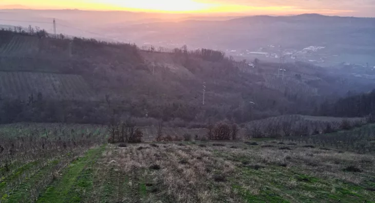 Poljoprivredno zemljište | 4zida