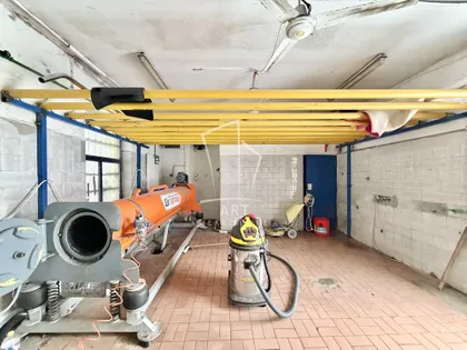 Cara Dušana | 4zida.rs