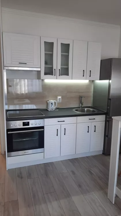 Arsenija Čarnojevića | 4zida.rs