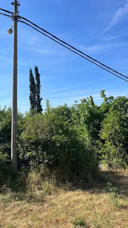 Selimira Pešića 1 | 4zida.rs