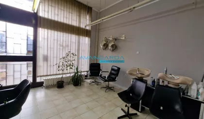 Dr Ivana Ribara | 4zida.rs