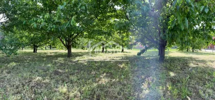 Plavinac | 4zida.rs