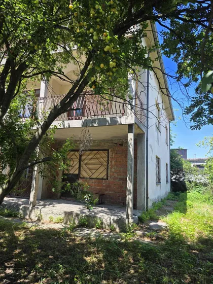 Sibinjanin Janka | 4zida.rs