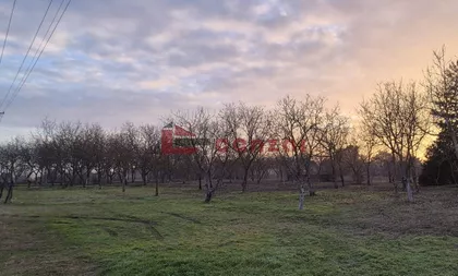 Palić | 4zida.rs
