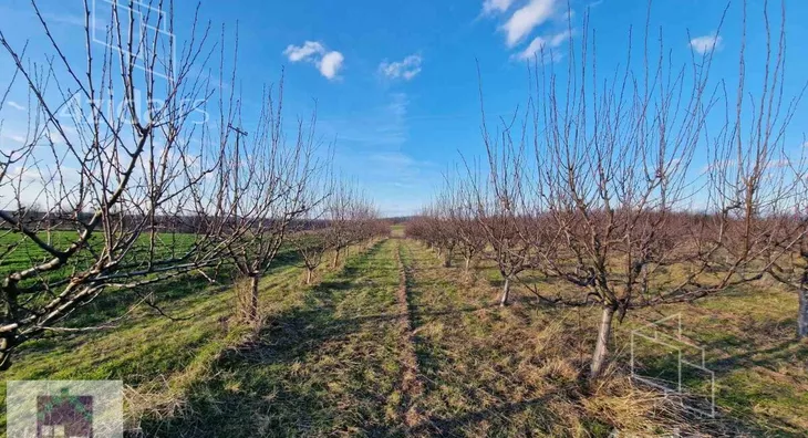 Poljoprivredno zemljište | 4zida