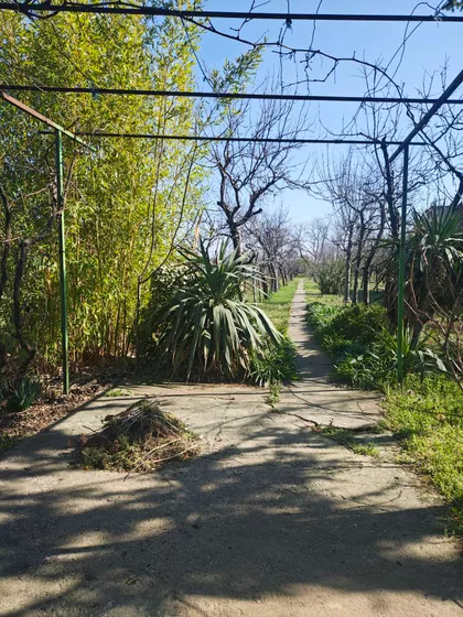 Vlasinska | 4zida.rs