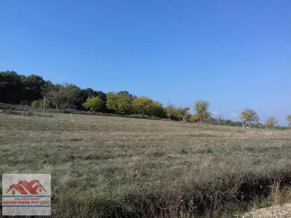 Denino Brdo | 4zida.rs