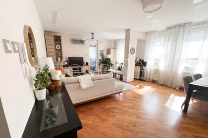 Cara Dušana | 4zida.rs