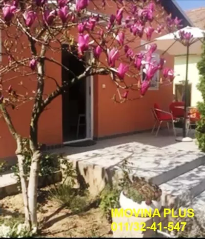 Đorđa Čutukovića | 4zida.rs