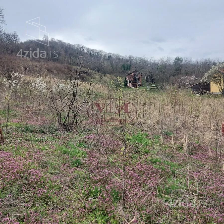 Plac | 4zida