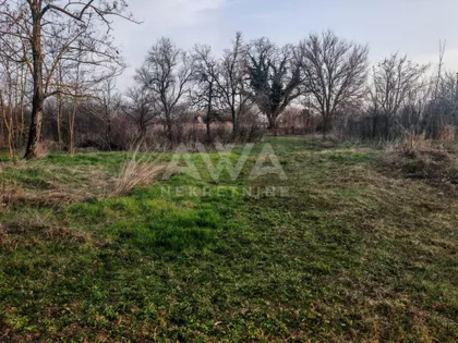 Svetozar Miletić | 4zida.rs