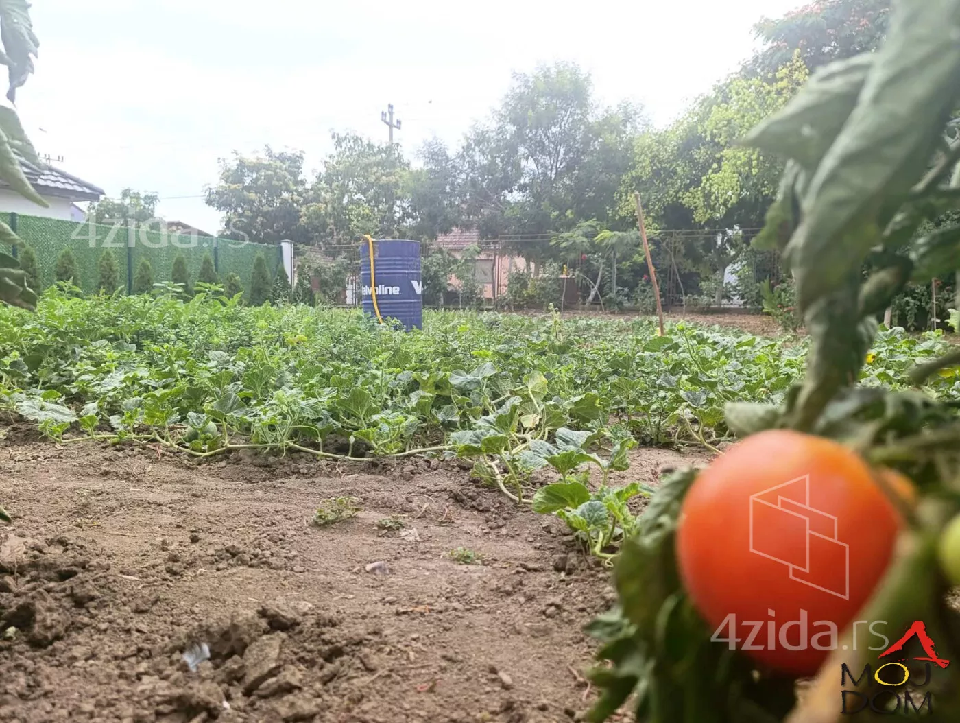Kuća | 4zida