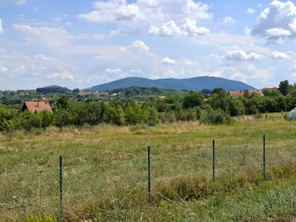 Jovana Cvijića | 4zida.rs