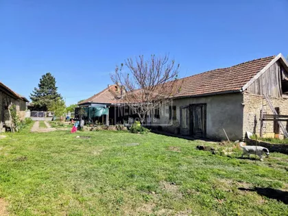 Pačir | 4zida.rs